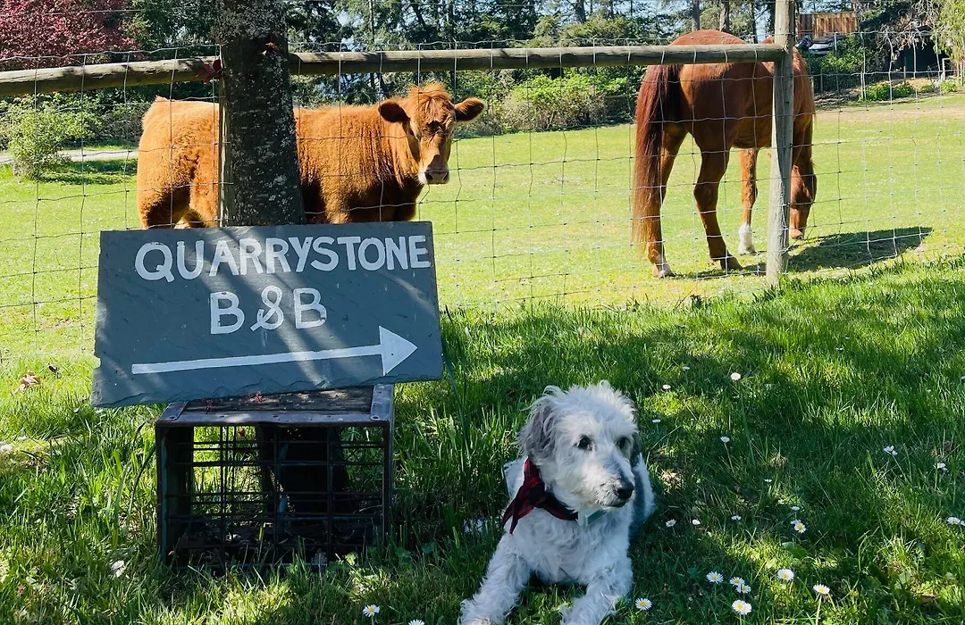 Quarrystone House B&B-1